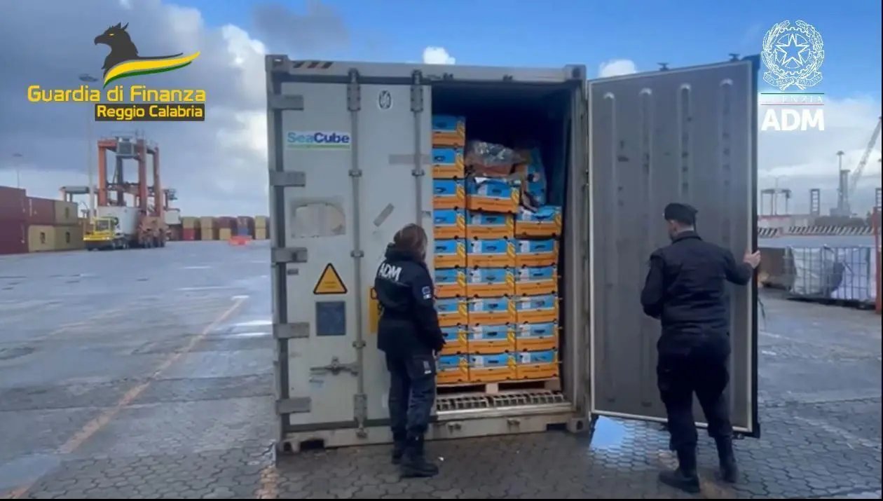 Blitz nel porto di Gioia Tauro, sequestrati oltre 780 chili di cocaina Blitz nel porto di Gioia Tauro, sequestrati oltre 780 chili di cocaina
