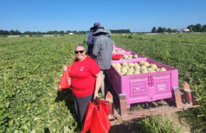 Flai Cgil Modena, caporalato e sfruttamento nelle campagne modenesi: scenario grave e preoccupante