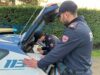 Un arresto per spaccio della Polizia di Stato in zona Costellazioni a Modena
