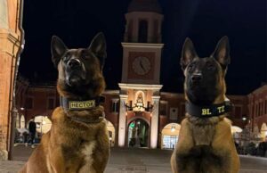 Sassuolo: giovane denunciato per spaccio al parco Tassi