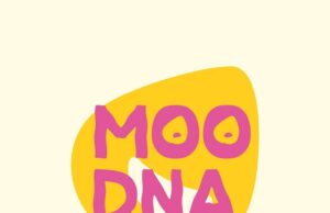 Moodna park, vietati vetro, lattine, materiale pirotecnico e gli spray al peperoncino